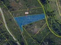 Dražba lesa, Žižkovo Pole, 5060 m2