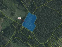 Dražba lesa, Strmilov, 5413 m2