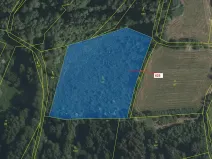 Dražba lesa, Strmilov, 7499 m2