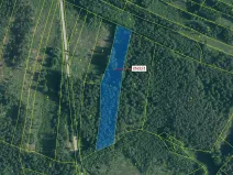 Dražba lesa, Kunžak, 8933 m2