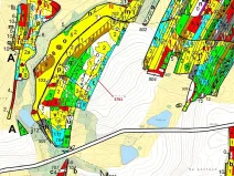 Dražba lesa, Strmilov, 9243 m2