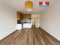 Pronájem bytu 1+kk, Praha, 34 m2