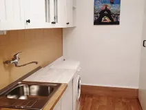 Pronájem bytu 1+1, Praha - Smíchov, Děvínská, 52 m2