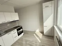 Pronájem bytu 2+1, Slaný, Vikova, 59 m2