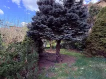 Pronájem rodinného domu, Praha - Braník, U dubu, 200 m2