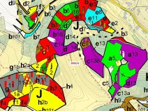 Dražba lesa, Český Dub, 2709 m2
