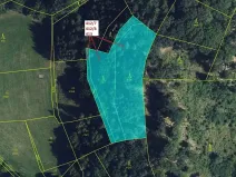 Dražba lesa, Vranová Lhota, 3744 m2