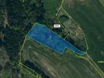 Dražba lesa, Náměšť nad Oslavou, 3646 m2