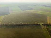 Prodej sadu/vinice, Troskotovice, 243931 m2