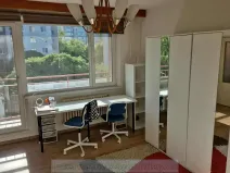 Pronájem pokoje, Brno, Vedlejší, 30 m2