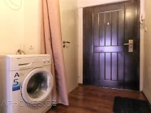 Pronájem bytu 1+kk, Praha - Holešovice, U průhonu, 21 m2