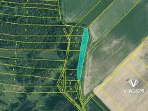 Prodej lesa, Dolní Třebonín, 2158 m2