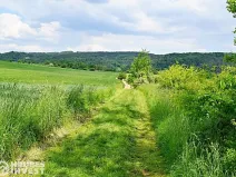 Prodej pozemku pro bydlení, Dlouhá Loučka, 1515 m2