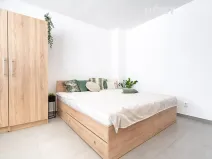 Pronájem bytu 1+kk, Brno, Minská, 21 m2