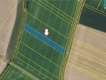 Prodej pole, Šebetov, 10702 m2