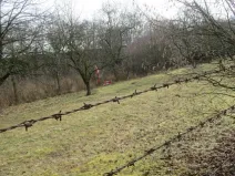 Dražba pole, Měrovice nad Hanou, 1943 m2