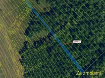 Dražba lesa, Ivančice, 255 m2