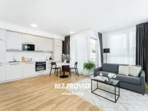 Pronájem bytu 2+kk, Praha - Vysočany, Odkolkova, 52 m2