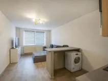 Prodej bytu 1+kk, České Budějovice, K. Chocholy, 30 m2