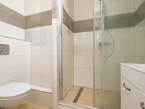 Prodej bytu 1+kk, České Budějovice, K. Chocholy, 30 m2