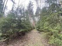 Prodej pozemku, Volfířov - Brandlín, 5958 m2