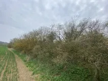 Prodej pozemku, Štětí - Brocno, 273 m2