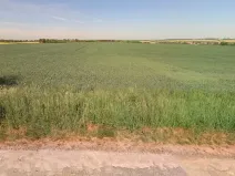 Prodej pole, Horní Slivno, 4922 m2