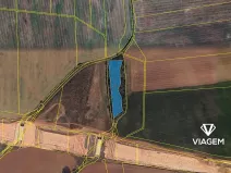 Prodej podílu lesa, Hořesedly, 1425 m2