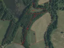 Dražba louky, Novosedly nad Nežárkou, 15643 m2