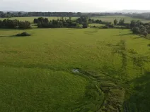 Dražba louky, Pustějov, 9886 m2