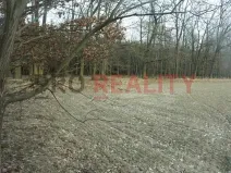 Prodej lesa, Tísek, 4998 m2