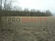 Prodej lesa, Tísek, 4998 m2