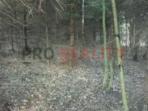 Prodej lesa, Tísek, 4998 m2