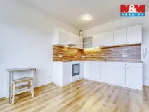 Pronájem bytu 1+kk, Plasy, U Václava, 42 m2