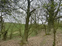 Prodej pozemku, Štětí - Brocno, 1107 m2