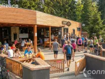 Prodej chaty, Nová Bystřice - Albeř, 259 m2