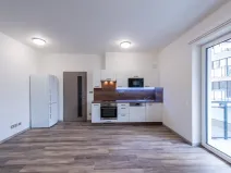 Pronájem bytu 1+kk, Plzeň - Severní Předměstí, Bolevecká, 37 m2