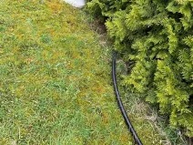 Pronájem zahrady, Svojetice, Příčná, 1033 m2