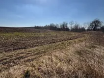 Prodej pozemku pro bydlení, Velká Bukovina, 2530 m2