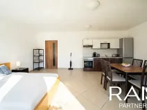 Prodej bytu 1+kk, Brno, Svitavská, 55 m2