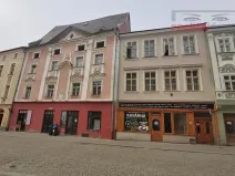 Prodej domu, Jihlava, Palackého, 490 m2