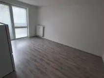 Pronájem bytu 1+kk, České Budějovice, Pekárenská, 30 m2
