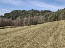 Prodej louky, Ústí nad Orlicí - Kerhartice, 49647 m2