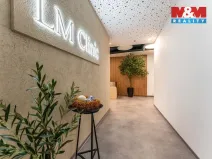 Pronájem komerční nemovitosti, Praha, Jihlavská, 30 m2