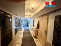 Prodej bytu 1+kk, Lipno nad Vltavou, 20 m2