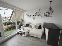 Prodej bytu 3+kk, České Budějovice, Skuherského, 53 m2