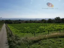 Prodej pozemku pro bydlení, Radslavice, 895 m2