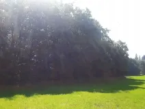 Prodej lesa, Vendryně, 3059 m2