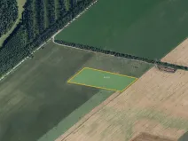 Prodej sadu/vinice, Bulhary, 63228 m2