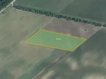 Prodej sadu/vinice, Bulhary, 93618 m2